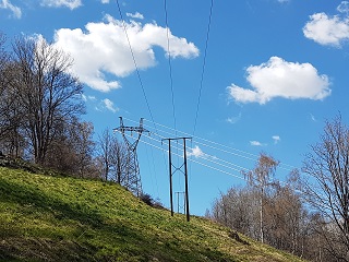 Wooden pole electricity lines – it is now possible to claim